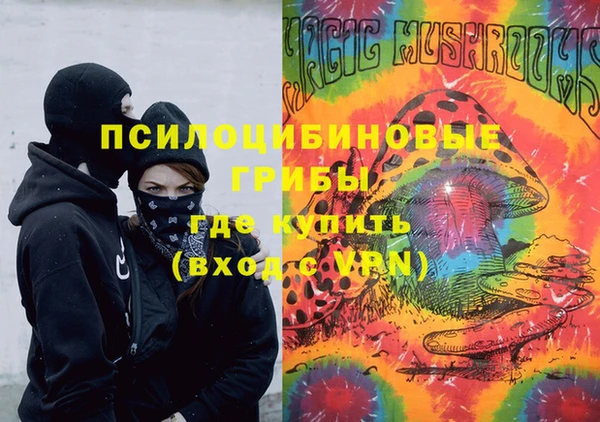 крисы Горно-Алтайск